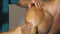Close up male hands of professional massagist healing massaging shoulder of muscular sportsman sitting on massage table