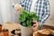 Close-up of male hands spraying homemade monstera with a spray bottle. Home gardening and hobby concept