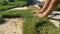 CLOSE UP: Male landscaper cuts a patch of grass with a sharp industrial knife.