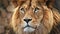 close up of male lion with mane , generated by AI