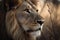 Close up male lion staring straight ahead, ai-generated artwork