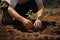 Close-up male man farmer worker gloved hands planting seeds touching soil ground gardening growth green vegetable tree