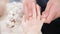 Close-up of a male physiotherapist doing finger and palm massage to a young girl in a massage spa salon. Professional