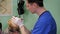 Close-up of a male veterinarian examining a Yorkshire Terrier at a vet clinic.