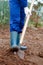 Close up of a man digging soil