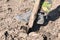 Close up of man digging spring soil with spade, preparing the