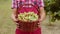 Close-up of man farmer hands shows good harvest of raw hazelnuts holding a full basket in garden