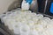 Close-up of a man forming cheese into the plastic molds at the small producing farm.