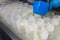 Close-up of a man forming cheese into the plastic molds at the small producing farm.