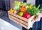 Close-up of a man hands holding a basket with vegetables and fruit