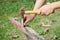 Close up of man hitting nail by hammer