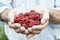 Close Up Of Man Holding Freshly Picked Raspberries