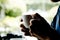 Close up of man holding hot latte coffee cup for break time