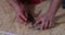 Close up of man installing wood flooring. Construction in a renovated room installation of parquet