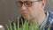 Close-up of a man in the laboratory studying young green shoots and making notes in the computer.