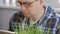 Close-up of a man in the laboratory studying young green shoots and making notes in the computer.