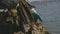 Close-up | Man Loading Port Water Trash In a Boat