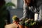 Close-up of a man looking at cactus and succulents. Focus on the