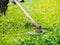 Close up the man mowing the grass. Gardening concept.