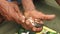 Close up of man preparing paan or betel nut or areca nut mix.