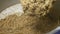 Close-up. a man removes boiled malt from a brewing pan