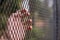 Close up Man`s hand Catching a Steel Net Cage