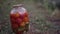 Close up of man\'s hand puts big glass jar with pickled vegetables on ground in vegetable garden. Canned tomatoes and