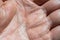 Close-Up of a man`s left hand showing palm skin, lines and pattern.