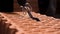 Close up of a man using electric saw to cut through a block in a cloud of dust. Stock footage. Details of new brick