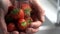 Close up man washing fresh strawberries