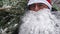 Close up of a man wearing a red Santa hat and a white beard carries home a Christmas tree packed in a grid