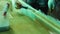 Close-up of a man working on the fiberglass treatment of the boat's hull. Construction of fiberglass pedal