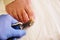 Close-up of a manicurist with pedicure pliers trimming old person toenail.