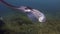 Close Up Manta Rays Group. Pair Of Graceful Mantas Or Sea Rays In Blue Sunlit Sea