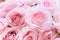 Close up of many fabric pale pink roses with blurred  background