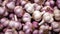 close up of Many heads of white purple garlic on market stand. Generative AI