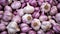 close up of Many heads of white purple garlic on market stand. Generative AI