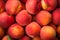 Close up of many peach fruits