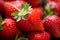 Close up of many strawberry fruits