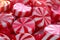 Close up many sweet round starlight peppermint caramel candies bonbons red and white spiral pattern popular treat kids