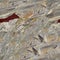 Close up of marble texture, detail. Seamless square background, tile ready.