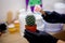 Close-up of the master of beauty`s hands in black gloves and a cactus.