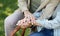 Close up mature couple holding hands, family expressing empathy and understanding