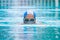 Close up of mature woman swimming in a pool alone - portrait of active senior doing exercise outdoors