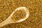 Close up mealworm feed for animals in wooden spoon in the mark