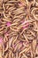 Close up Mealworm larvae for feeding animal.ex.birds ,fish,repptiles