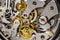 Close-up of mechanical watch and regulator jewel