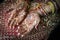 Close up of Mehndi tattoos on the hands of a Hindu or Sikh bride