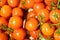 Close-up of mellow red bush-tomatoes on supermarket counter