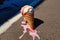 close-up of melting ice cream cone on sunny pavement
